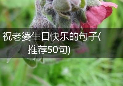 祝老婆生日快乐的句子(推荐50句)