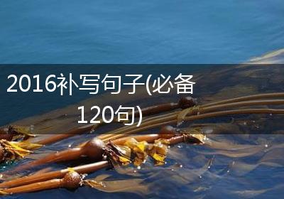 2016补写句子(必备120句)