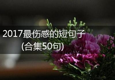 2017最伤感的短句子(合集50句)