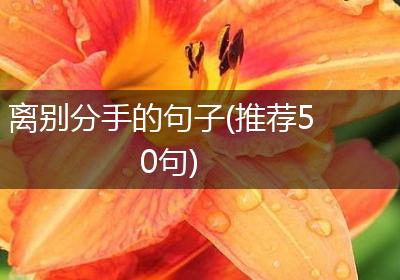 离别分手的句子(推荐50句)