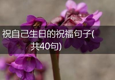 祝自己生日的祝福句子(共40句)
