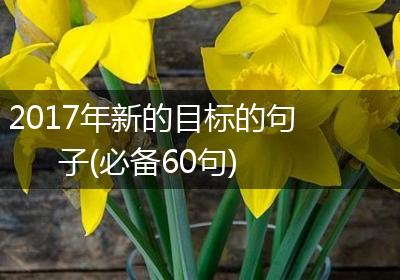 2017年新的目标的句子(必备60句)