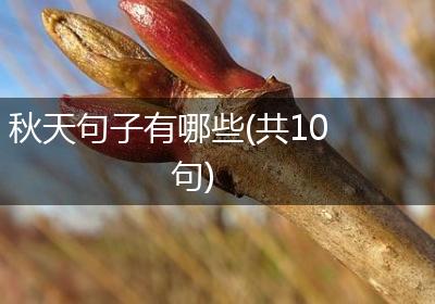 秋天句子有哪些(共10句)