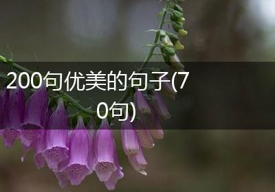200句优美的句子(70句)
