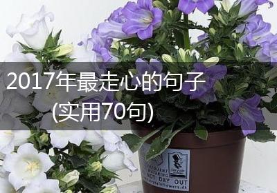 2017年最走心的句子(实用70句)