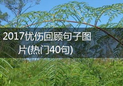 2017忧伤回顾句子图片(热门40句)