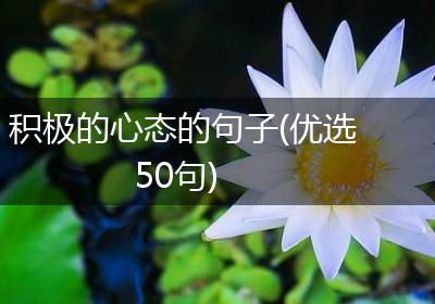 积极的心态的句子(优选50句)