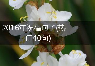 2016年祝福句子(热门40句)