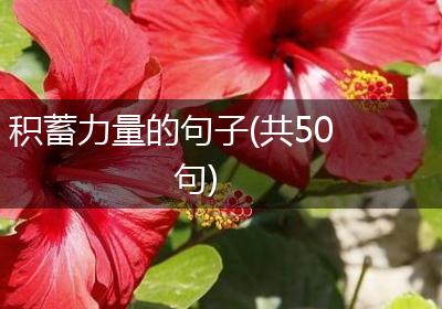 积蓄力量的句子(共50句)