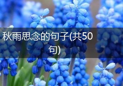 秋雨思念的句子(共50句)