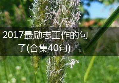2017最励志工作的句子(合集40句)