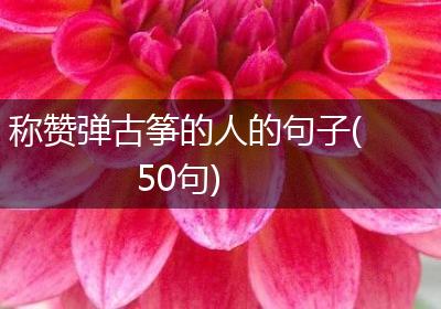 称赞弹古筝的人的句子(50句)