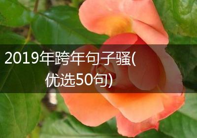 2019年跨年句子骚(优选50句)