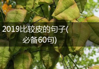 2019比较皮的句子(必备60句)