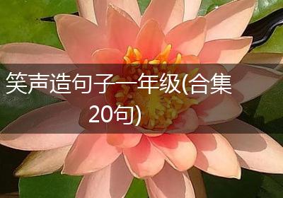 笑声造句子一年级(合集20句)