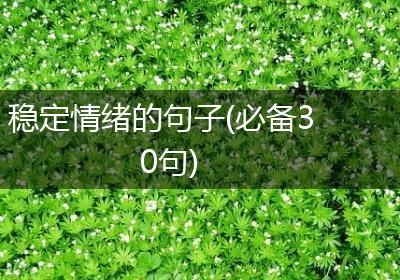 稳定情绪的句子(必备30句)
