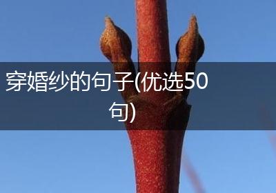 穿婚纱的句子(优选50句)
