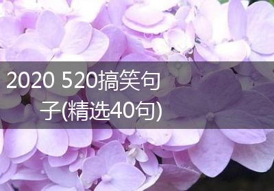 2020 520搞笑句子(精选40句)