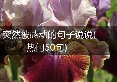 突然被感动的句子说说(热门50句)