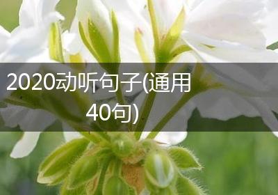 2020动听句子(通用40句)