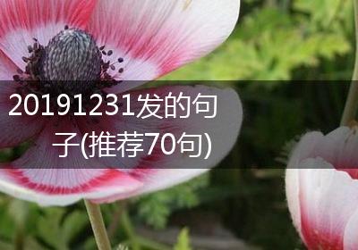 20191231发的句子(推荐70句)