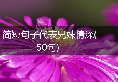 简短句子代表兄妹情深(50句)