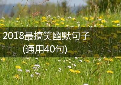 2018最搞笑幽默句子(通用40句)