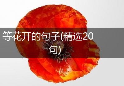 等花开的句子(精选20句)