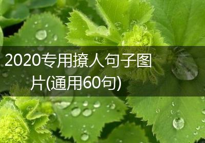 2020专用撩人句子图片(通用60句)