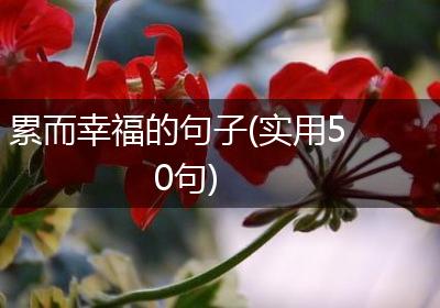 累而幸福的句子(实用50句)