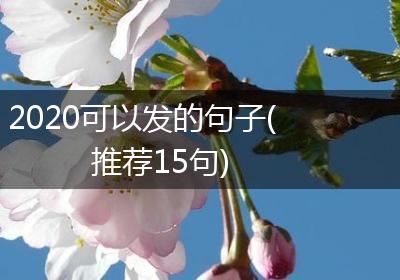 2020可以发的句子(推荐15句)