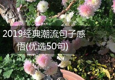 2019经典潮流句子感悟(优选50句)