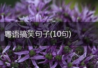 粤语搞笑句子(10句)