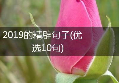 2019的精辟句子(优选10句)