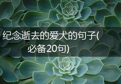 纪念逝去的爱犬的句子(必备20句)