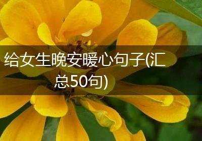 给女生晚安暖心句子(汇总50句)