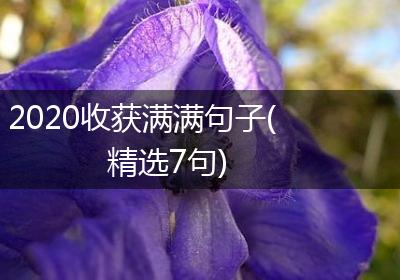 2020收获满满句子(精选7句)