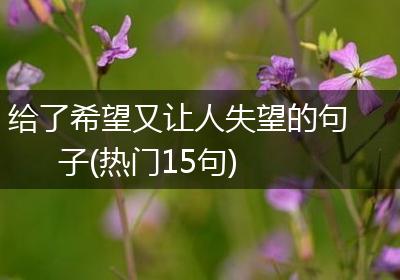 给了希望又让人失望的句子(热门15句)