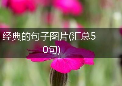 经典的句子图片(汇总50句)