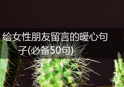 给女性朋友留言的暖心句子(必备50句)