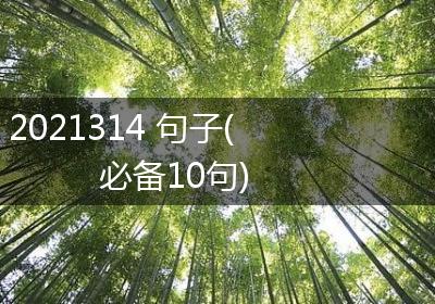 2021314 句子(必备10句)