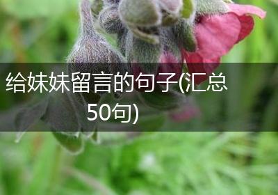 给妹妹留言的句子(汇总50句)