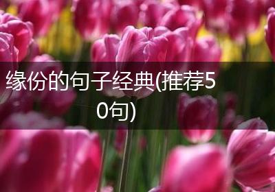 缘份的句子经典(推荐50句)