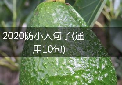 2020防小人句子(通用10句)