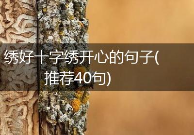 绣好十字绣开心的句子(推荐40句)