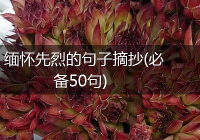 缅怀先烈的句子摘抄(必备50句)