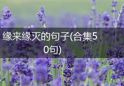 缘来缘灭的句子(合集50句)
