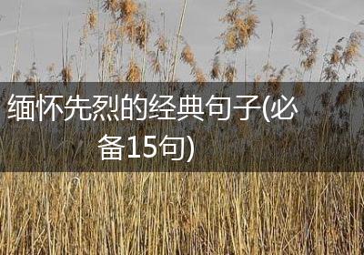 缅怀先烈的经典句子(必备15句)