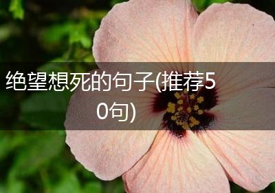 绝望想死的句子(推荐50句)