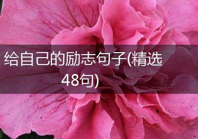 给自己的励志句子(精选48句)
